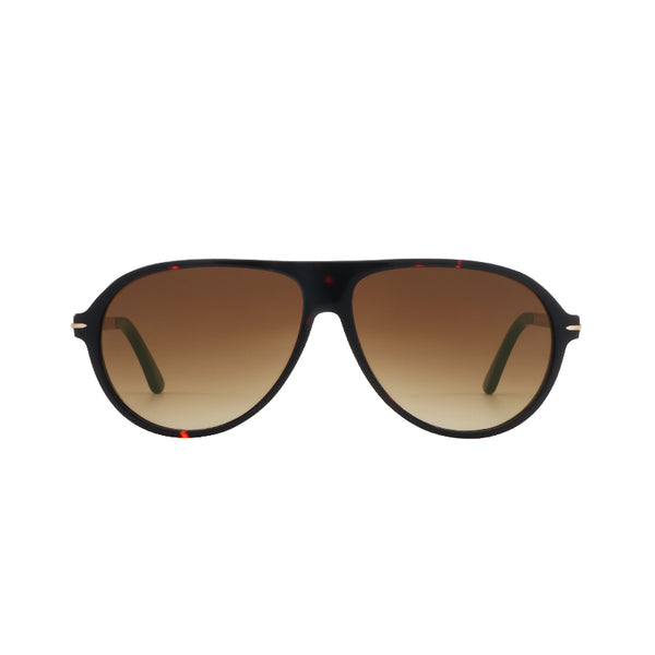 Aviator Men Sunglasses AT8853